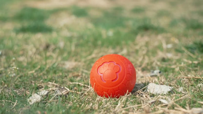 [Interactive Smart Dog Ball] Interactive Smart Dog Ball - 1-Pack 56mm/2.22in Auto Jump & Play Fetch Toy | Type-C Rechargeable, Long-Lasting Battery, Pixelated Design for Puppy Training & Playtime, USB Rechargeable, Userfriend